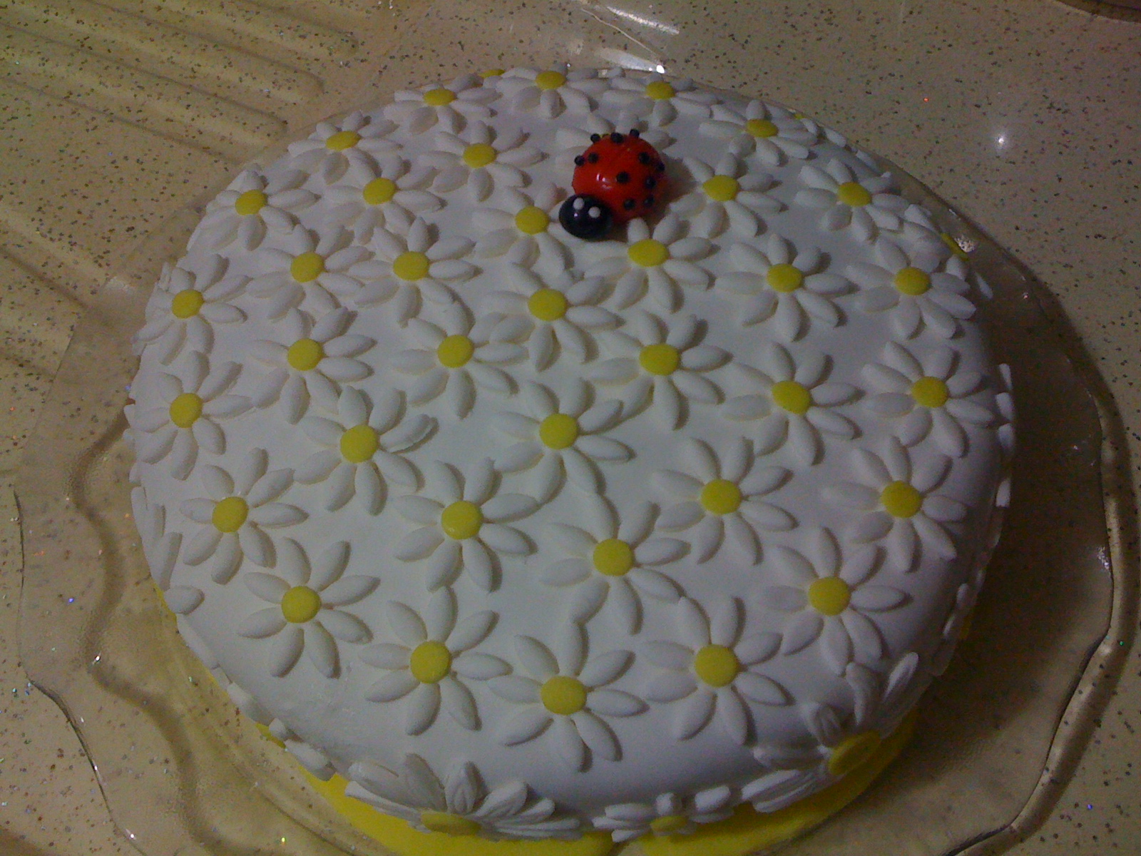 PASTA & CAKE Papatyalı Uğurböcekli Pasta