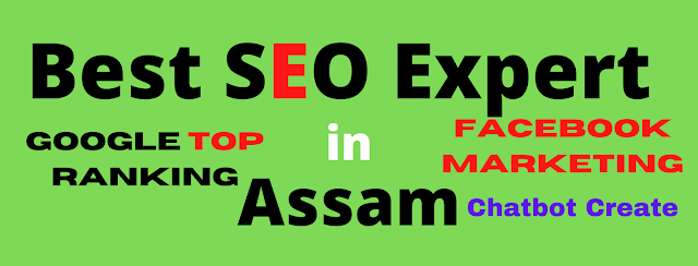 PD Freelancer Only in Best SEO Expert in Assam