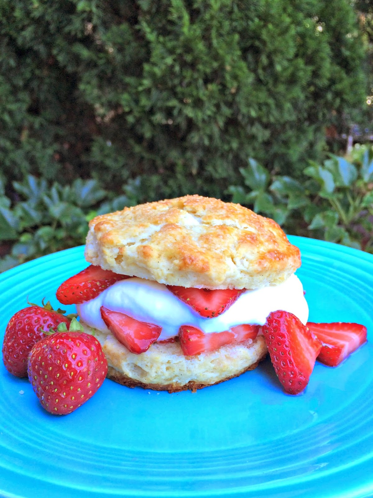 Strawberry Blondies: Strawberry Shortcake