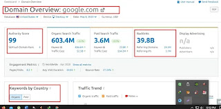 technical seo DOMAIN OVERVIEW