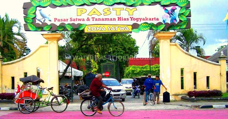 Aku dan Sekitarku PASTY Pasar Satwa Tanaman  Hias  Yogyakarta  