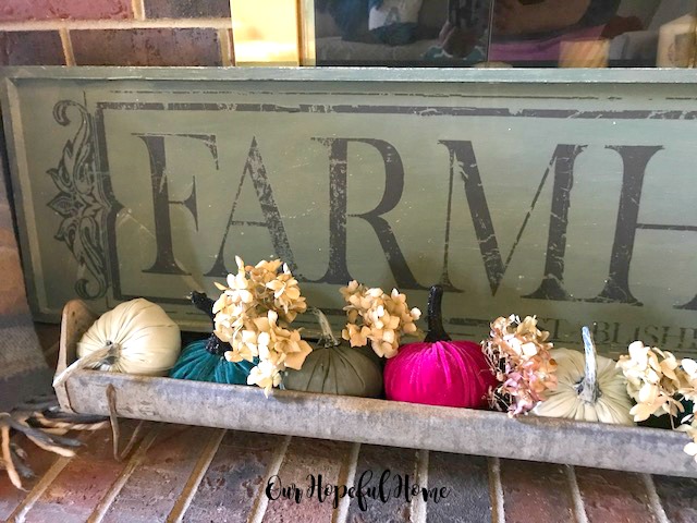 Our Hopeful Home Thrill Of The Hunt 76 Vintage Chicken Feeder