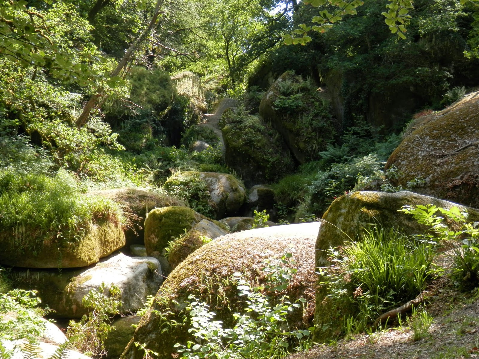 Renovation of a Derelict House in Brittany, France Renovation project