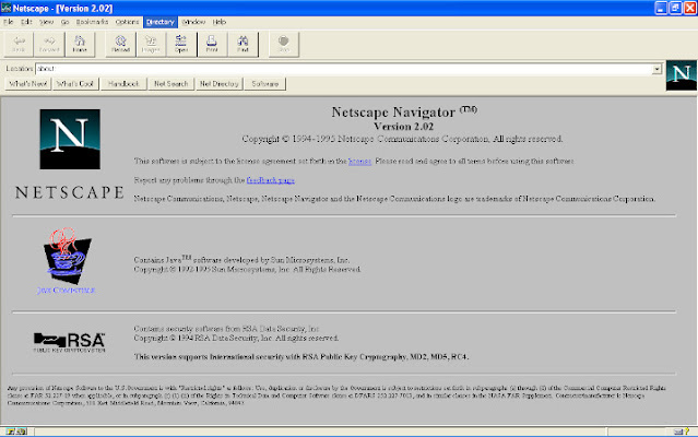 Netscape Browser Running Internet