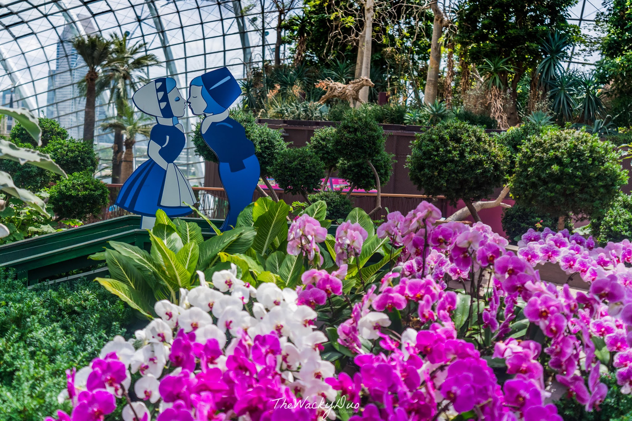 Flower Dome Reopens with a Resilience European theme floral display
