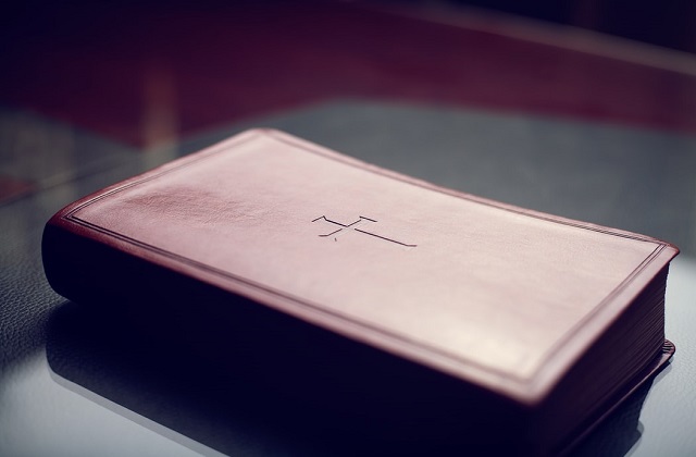pink bible