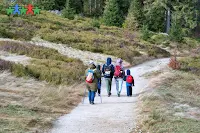 Popularne i chętnie odwiedzane szczyty Beskidu Śląskiego, czyli Klimczok i Szyndzielnia zestawione w jedną widokową pętlę.