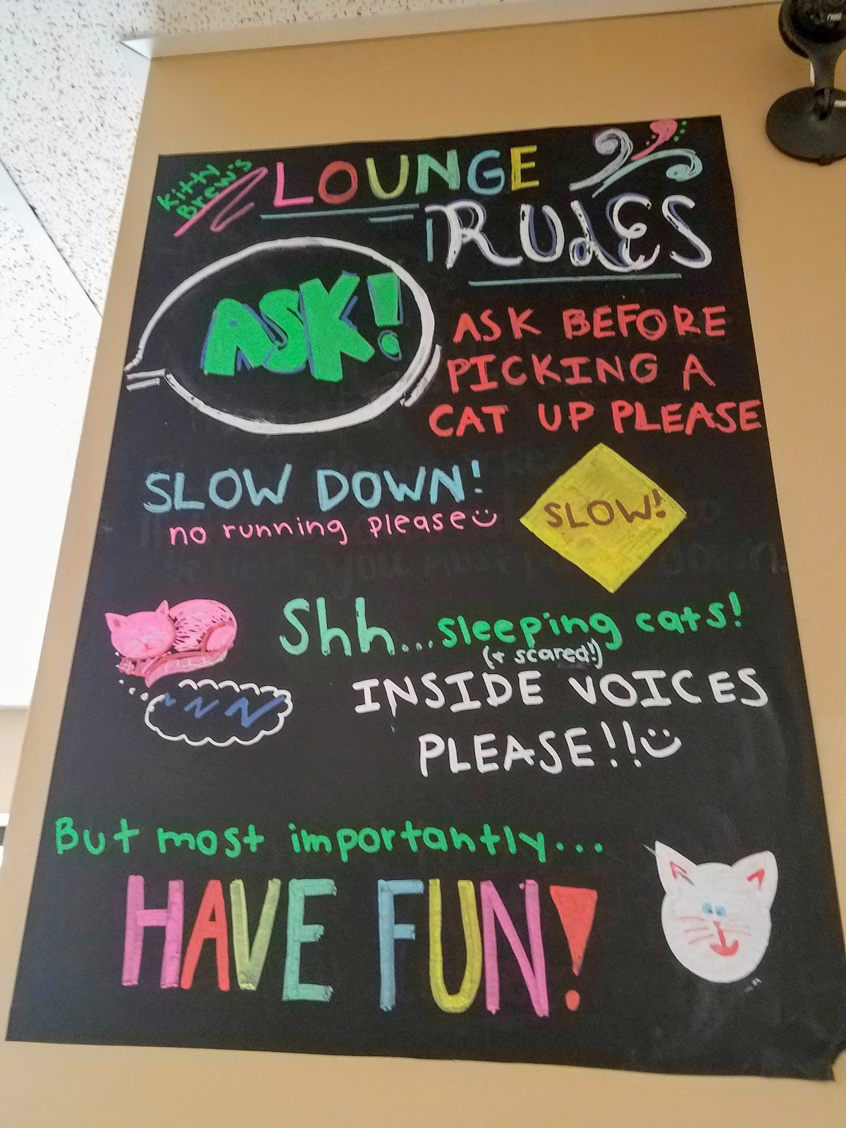 Kitty Brew Cat Cafe Mason Oh