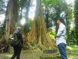Tempat Wisata Kebun Raya Bogor