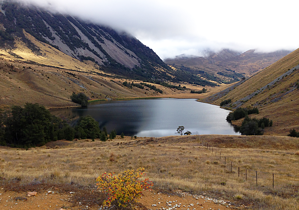 Refocused Lake Lillian