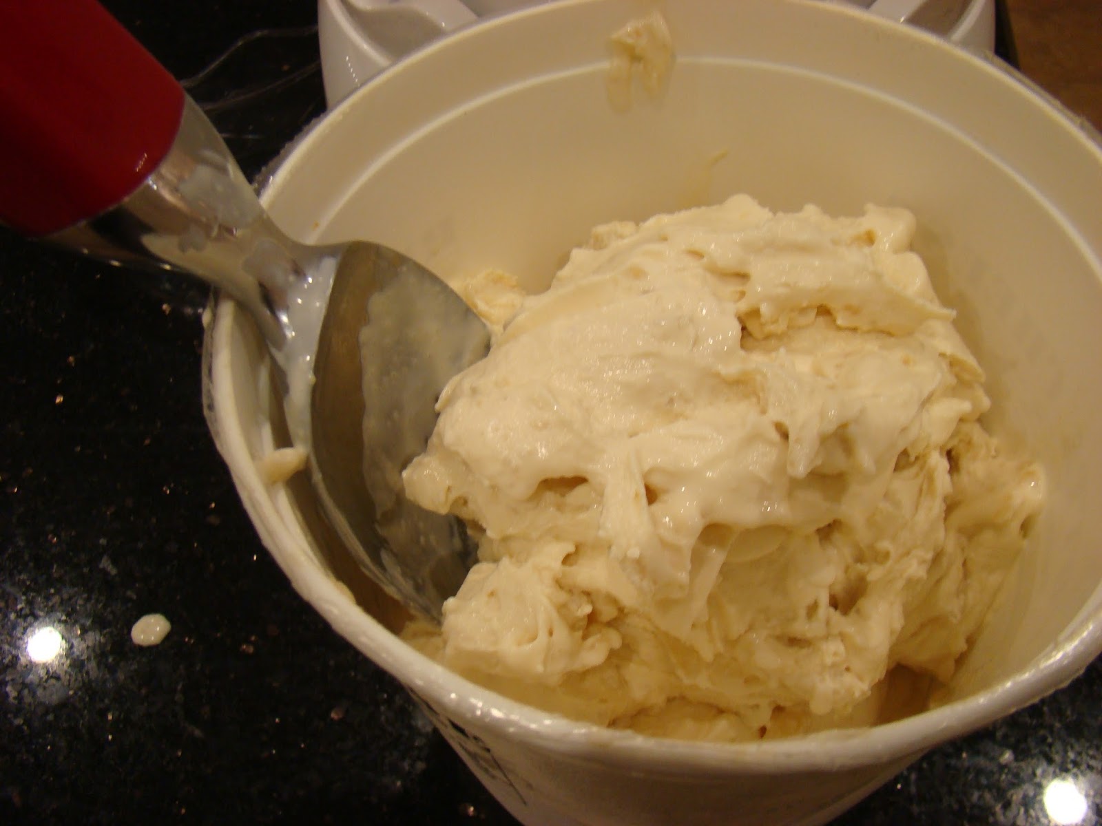 My Favorite Recipes Collection Hawaiian Macadamia Nut Vanilla Ice Cream