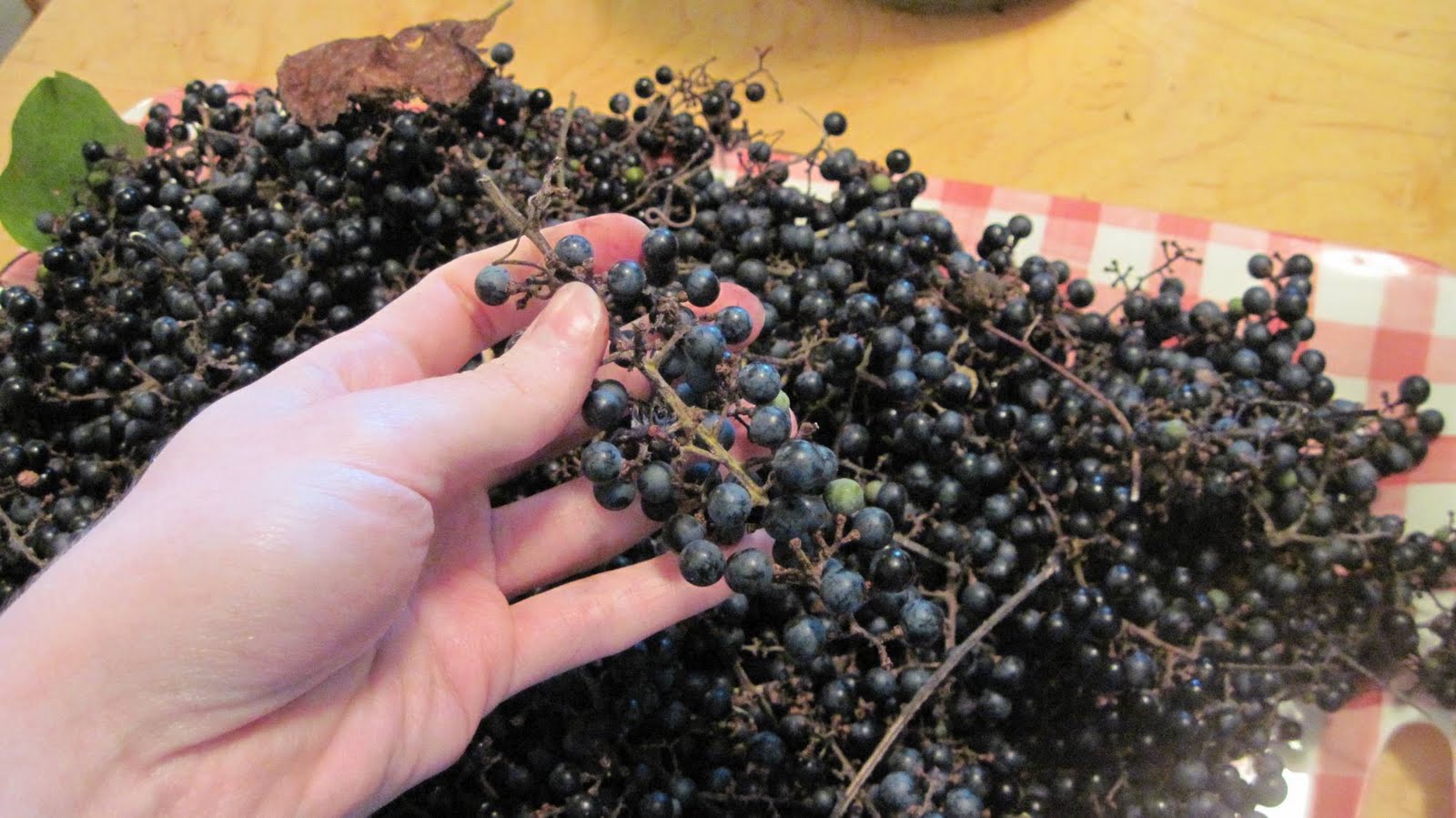 Dunbar Creek Farm & Mercantile "Possum Grape" Jelly!