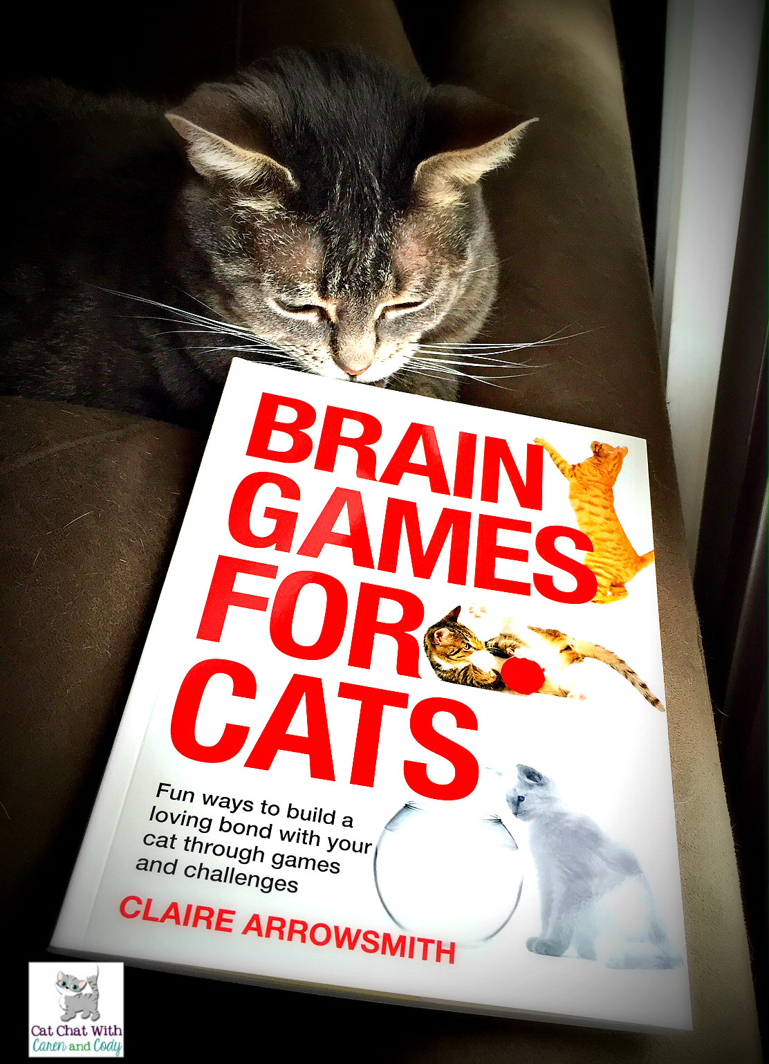 Cat Chat With Caren And Cody Book Brain Games For Cats By Claire