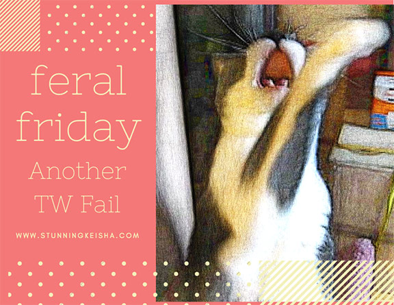 Feral Friday—Another TW Fail