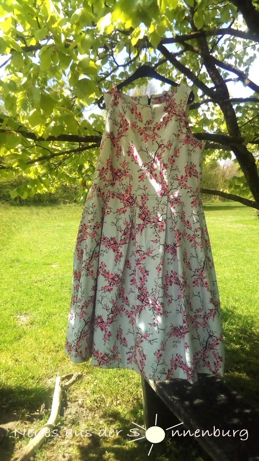 Augenblicke Fotografie Der Pretzfelder Kellerwald