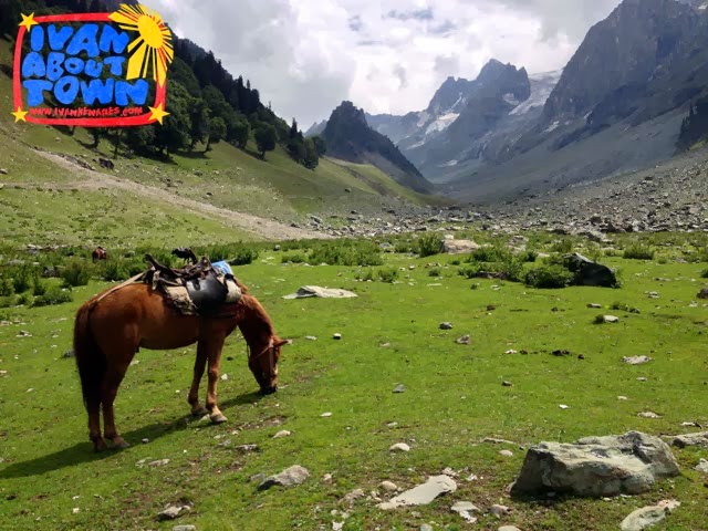 Sonamarg: Pony ride to Himalayan glaciers of Kashmir Valley