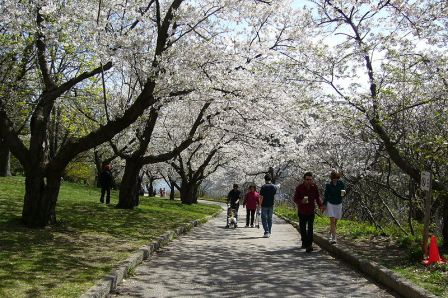 High Park, Toronto