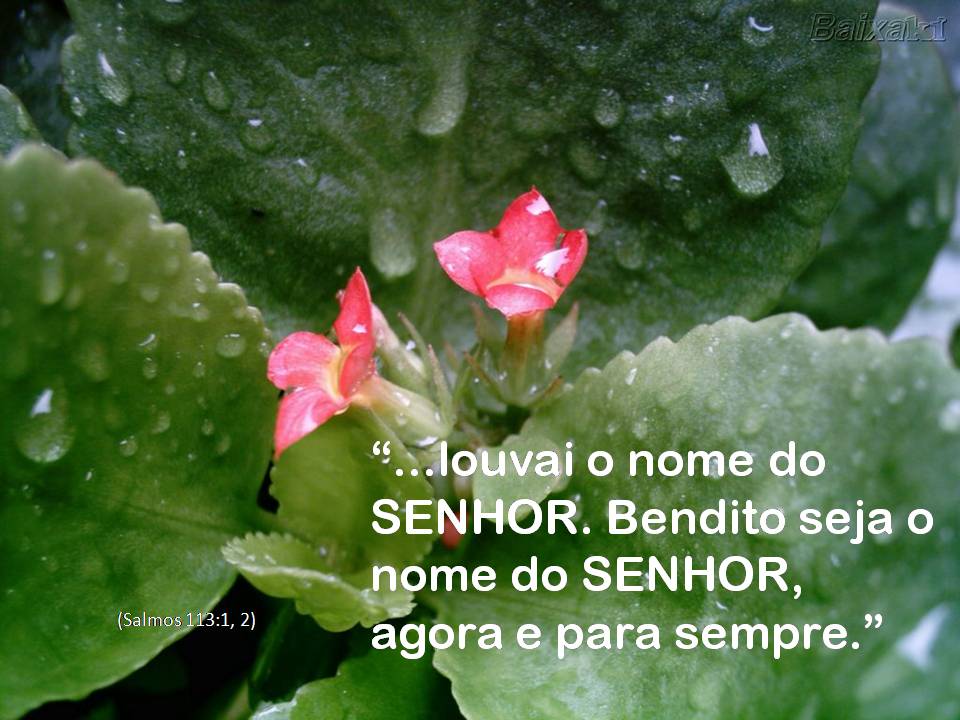 A Mão da Vida: Bendito seja o nome do SENHOR