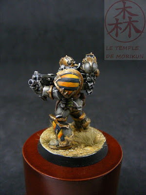 [Image: Iron%2BWarrior%2B1%2B%252842%2529.JPG]