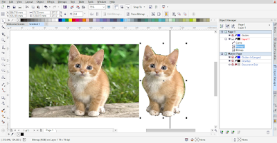 Cara Menghilangkan Background di Corel Draw