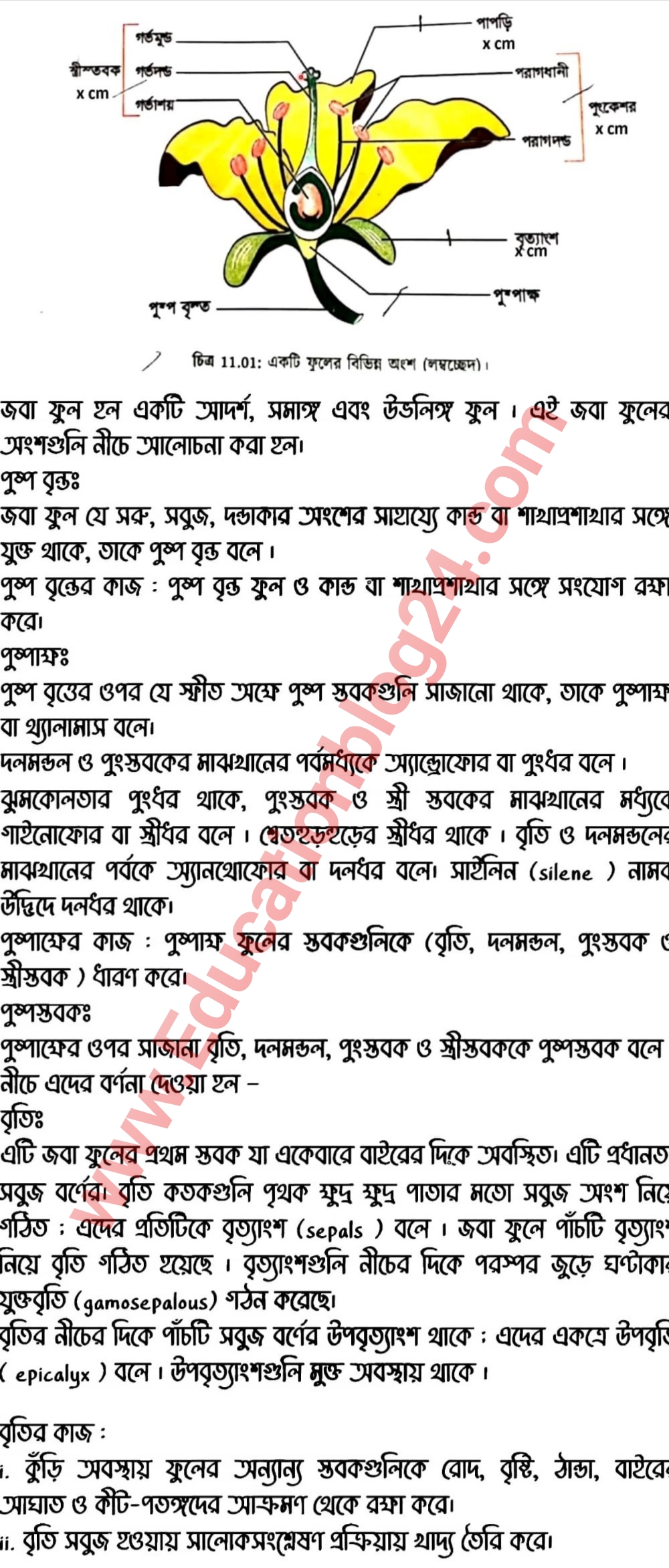 SSC Biology Assignment Answer 2021 pdf download English Version 2