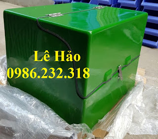 thung chở hàng sau xe máy, thùng ship hàng, thùng giao hàng, thung đựng cơm