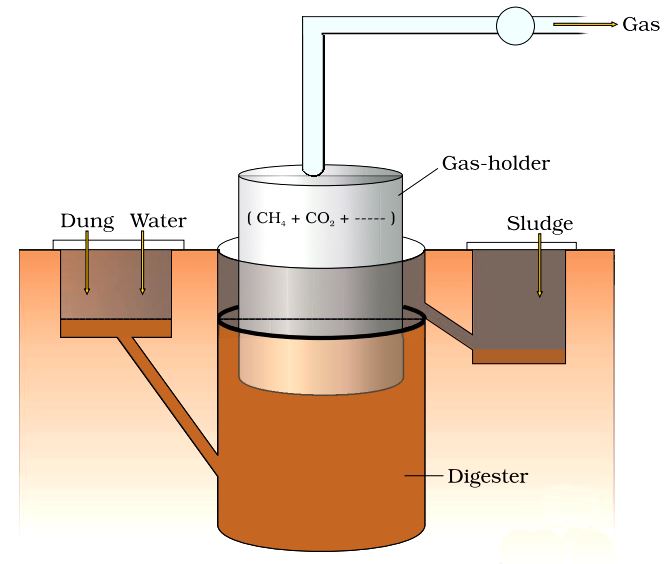 Microbes in Human Welfare Notes Class 12 Part 2 Microbes in