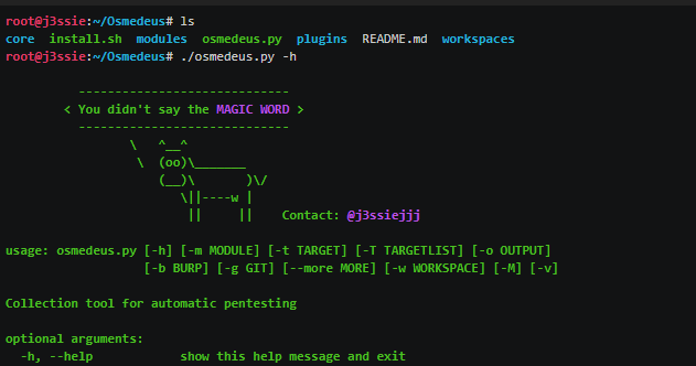 Osmedeus - Automatic Reconnaissance And Scanning In Penetration Testing ...
