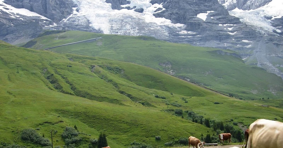 Pengaruh Iklim dan Perubahan Iklim Terhadap Kehidupan Manusia  Portal