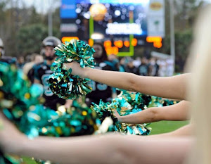 Accusate di essere prostitute, intera squadra di cheerleaders sospesa Accusate di essere prostitute, intera squadra di cheerleaders sospesa