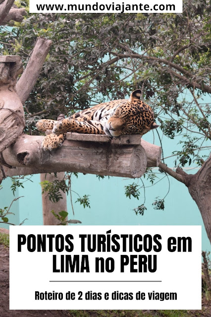 pontos turisticos em lima peru tigre dormindo tranquilamente