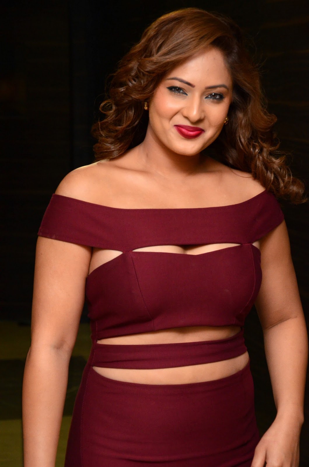 Nikesha Patel All Hot Sex Picture