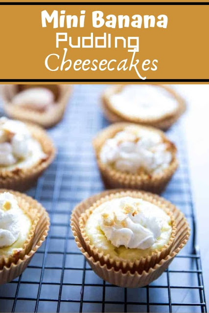 Mini Banana Puddіng Chееѕесаkеѕ #Mini #Banana #Puddіng #Chееѕесаkеѕ Dessert Recipes Easy, Dessert Recipes Healthy, Dessert Recipes For A Crowd, Dessert Recipes Peach, Dessert Recipes Simple, Mini Banana Puddіng Chееѕесаkеѕ #Mini #Banana #Puddіng #Chееѕесаkеѕ Dessert Recipes Easy, Dessert Recipes Healthy, Dessert Recipes For A Crowd, Dessert Recipes Peach, Dessert Recipes Simple,
