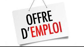 Green Finances Cameroun S.A recrute plusieurs profils