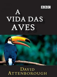 BBC: A Vida das Aves - Série Completa - Legendada