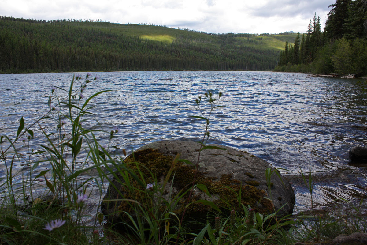 The Adventures of Bushwhack Jack