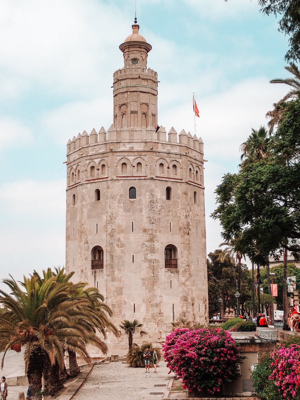 la torre del oro à séville avec en son pied des bougainvilliers en fleur et des palmiers