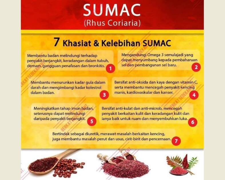Khasiat Dan Manfaat Rempah Sumac Tinggi AntiOksidan SEMUANYA TERKINI