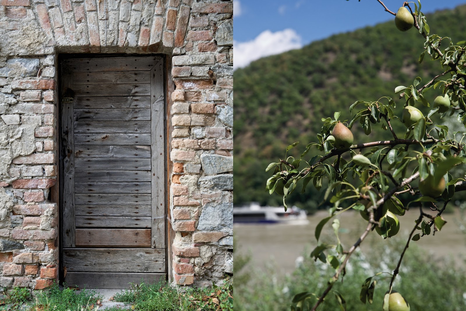 Gestürzter Pfirsichkuchen mit Lavendelduft | ziiikocht Gestürzter Pfirsichkuchen mit Lavendelduft | ziiikocht