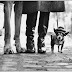 Elliott Erwitt. Family: la mostra al Mudec Milano