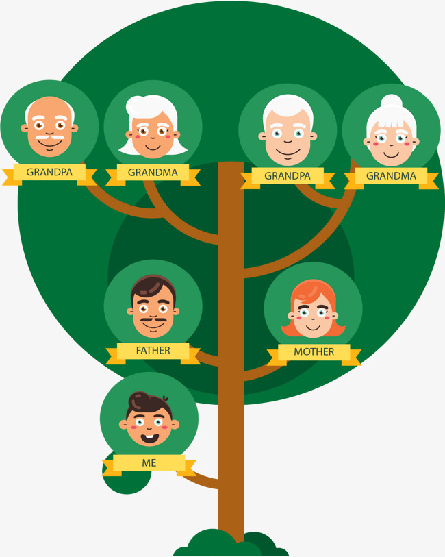 تعليم رسم شجرة العائلة في خطوات بسيطة تسامح