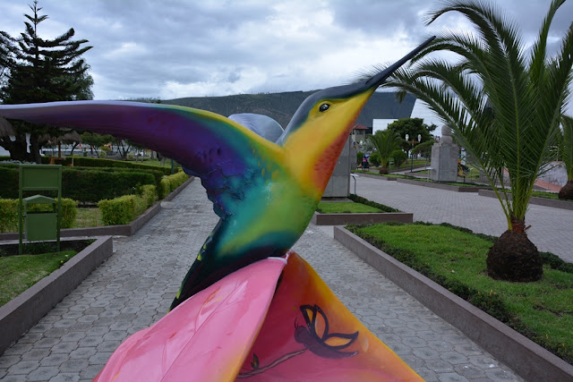 Colibri art Quito