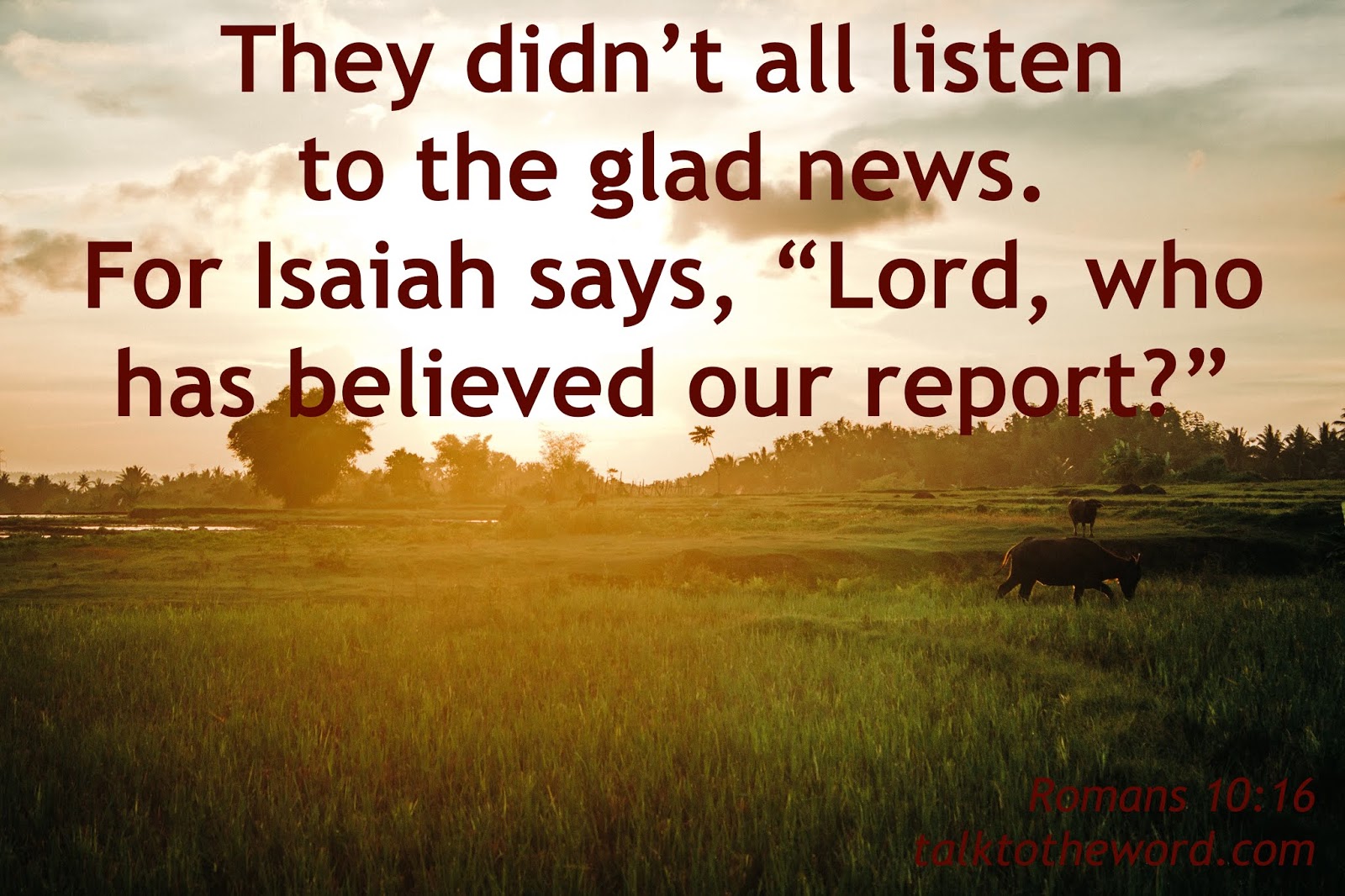 Romans 10 16 Romans 10 16
