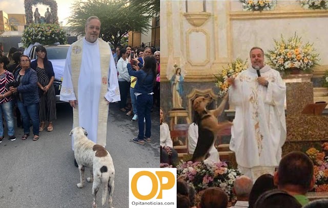 Sacerdote lleva perros callejeros a misa para que los adopten