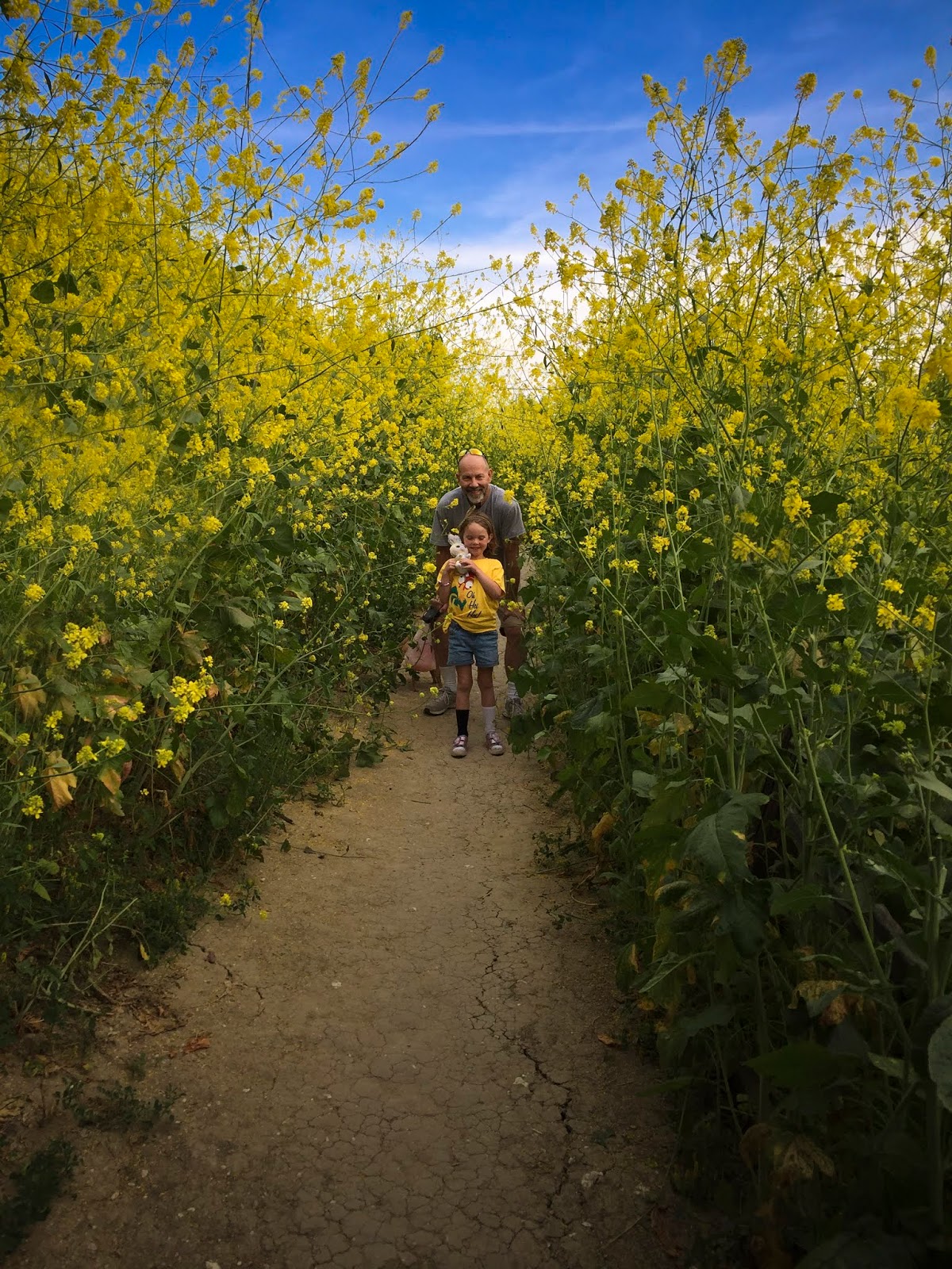 Spare Parts and Pics Invasion of the Giant Mustard Plants!!