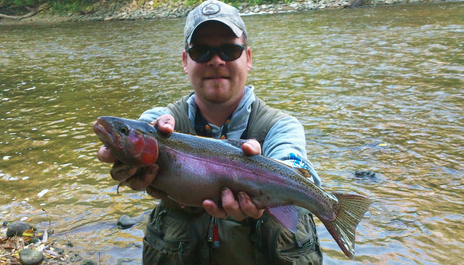 Illinois Wisconsin Fishing milwaukee river king salmon fishing