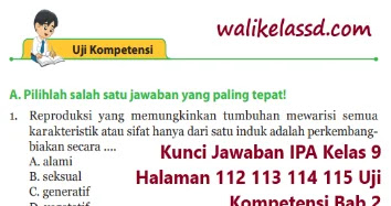 Kunci Jawaban Ipa Kelas 9 Halaman 112 113 114 115 Uji Kompetensi Bab 2 Wali Kelas Sd