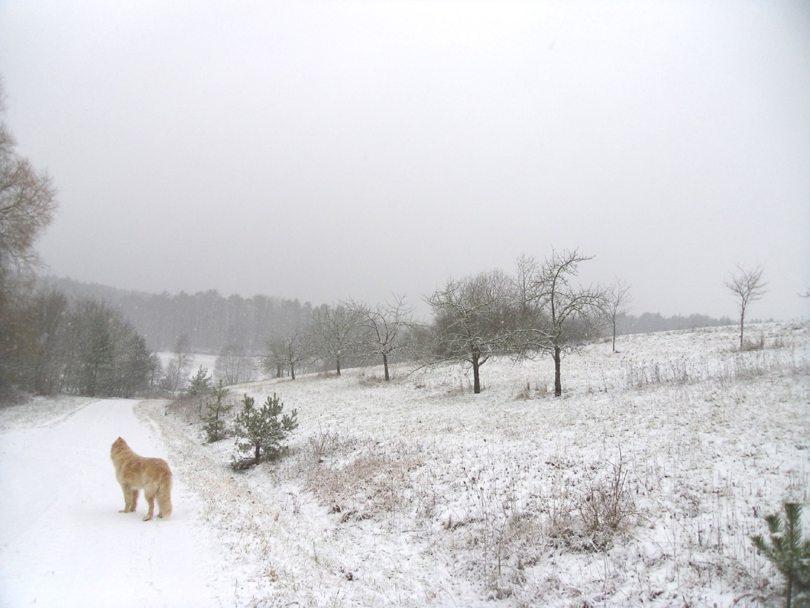 Gallerphot Sagerhof Tannheimer Tal