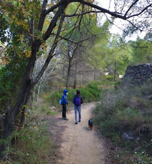 Ruta senderista por los alrededores del Tossal Gros de Castellón.