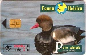 Tarjeta telefónica Pato colorado (Netta rufina)